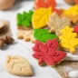 Preview: Cookie Cutter Set - Autumn Leaves